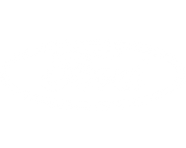 White Ford Logo