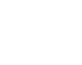 White Mercedes-Benz Logo