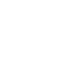 White Nissan Logo